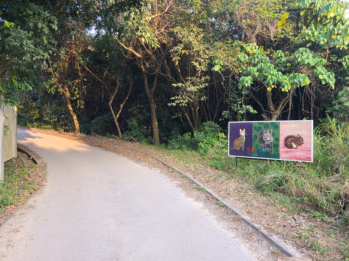 行山,屯門好去處,良景,下白泥,良田坳大峽谷,大峽谷,港版大峽谷,日落,夕陽,車米人