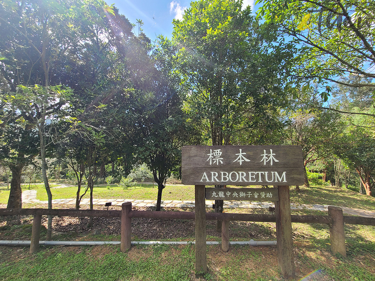 西貢好去處,西貢鯨魚,夏日好去處,蕉坑,白沙灣,三星灣,獅子會自然教育中心,聰鳴茶座,白馬咀