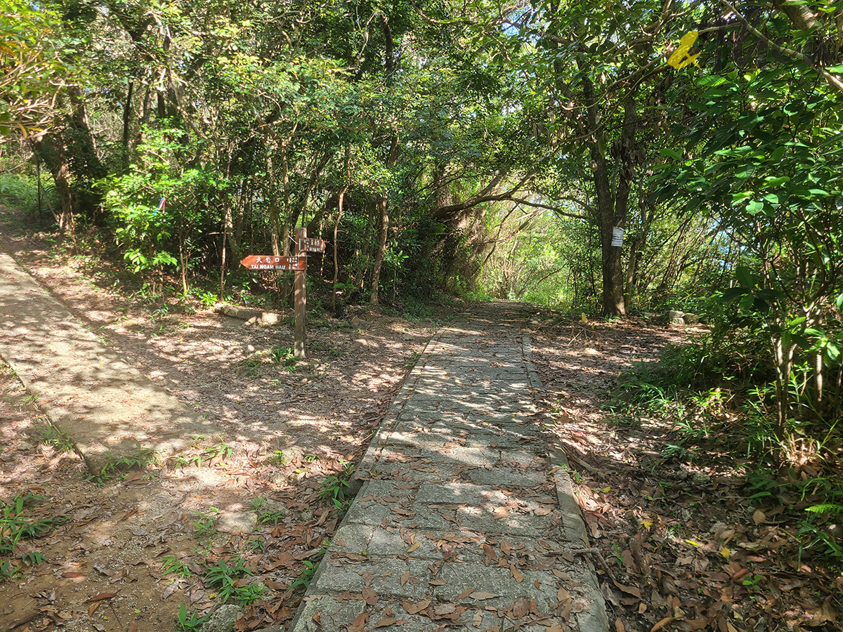 西貢好去處,西貢鯨魚,夏日好去處,蕉坑,白沙灣,三星灣,獅子會自然教育中心,聰鳴茶座,白馬咀